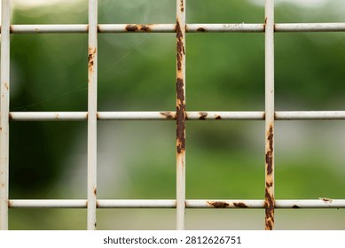 A macro horizontal shot captures the detailed grid pattern and peeling rust on a white metal wire fence, with a lush green blurred background.