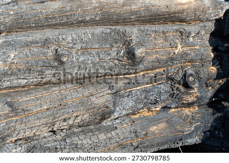 Macro horizontal view of stacked charred wooden logs showing deep carbonized texture and burnt surface fissures after intense fire.