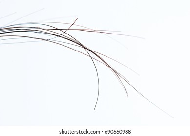 Macro of human dark hair strands isolated on white background