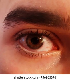 macro human eye