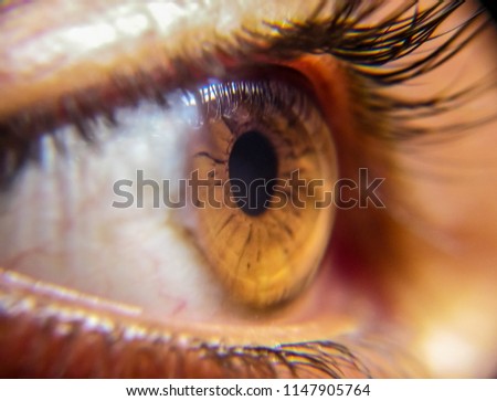 the macro of human eye 
