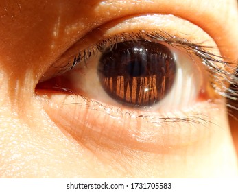 Macro of human eye background