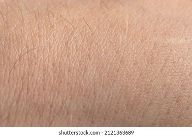 Macro of human skin with hair. Human skin texture. - Shutterstock ID 2121363689
