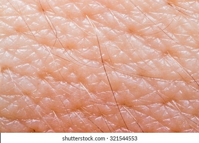 Macro of human skin on the hand wrist