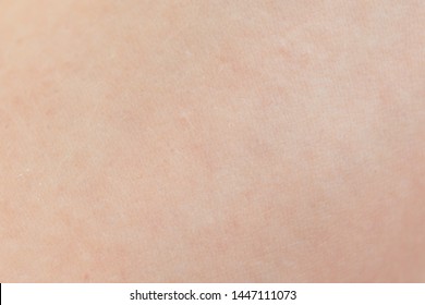 Macro of human skin. Human skin texture - Shutterstock ID 1447111073