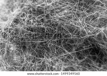 Macro Image of Black and White Cat Hair Collected After Grooming Session.