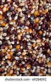 Macro Image Of A Block Of Bird Seed