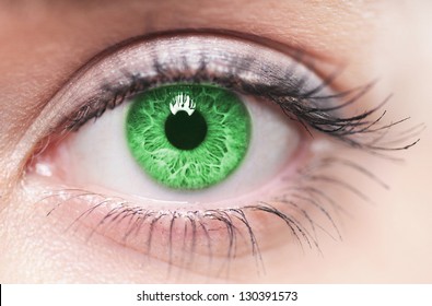 Macro Image Of Green Human Eye