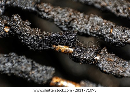 Macro image highlights the intricate texture of charred, corroded metal bars, contrasting with a sparkling bokeh backdrop