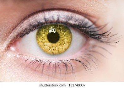 Download Yellow Eyes Images Stock Photos Vectors Shutterstock PSD Mockup Templates