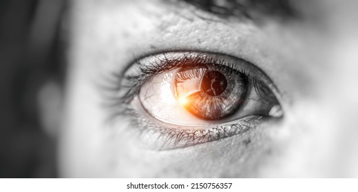 Macro image of human eye - Shutterstock ID 2150756357