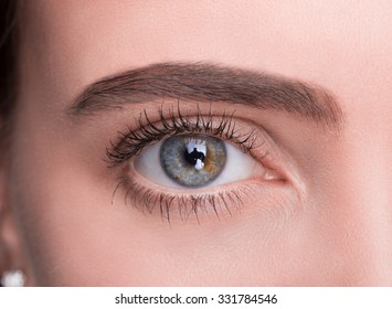 Macro image of human eye  - Shutterstock ID 331784546