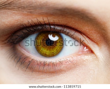 Macro image of human eye