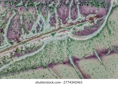 Macro image of polished thin section of tinguaite — rare alkaline vein rock, subvolcanic analogue of aegirine-nepheline syenite, mined in Khibiny Massif (Kola Peninsula, Russia). The image shows characteristic textures: dark violet and purple zones corresponding to aegirine, and light green areas representing nepheline or glassy groundmass. Small lilac spots are overgrown fluorite, typical for banded tinguaite varieties. Black dots and veins are inclusions of iron oxides (magnetite, ilmenite), and rare yellow troilite crystals. White rims and boundaries are albite zones formed by rhythmic crystallization from sodium-potassium-rich melts . Color palette enhanced by optical anisotropy under polarized light or digital processing for scientific visualization. Field of view 15 mm reveals microstructure: mineral distribution, grain shape, phase boundaries, and inclusions. Tinguaite from Khibiny is unique for its variety of textures — from massive to intricate “tortoise-shell”, “dactyloscopic” and dendritic patterns, caused by melt flow direction and rhythmic crystallization. The rock has high strength and toughness, comparable to jade, polishes well, and is safe for use no harmful impurities or radioactive minerals detected. Intended for educational materials in petrography, mineralogy, geology, and rare earth mining history, as well as scientific publications, lectures, presentations, and museum displays. High detail supports analysis of mineral composition and textural features. No distortion, but color correction may be applied for scientific visualization. Meets standards for scientific visualization on stock platforms.