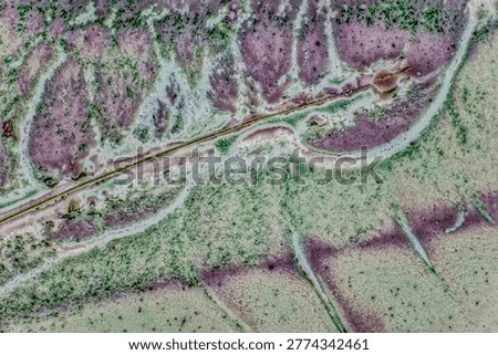 Macro image of polished thin section of tinguaite — rare alkaline vein rock, subvolcanic analogue of aegirine-nepheline syenite, mined in Khibiny Massif (Kola Peninsula, Russia). The image shows characteristic textures: dark violet and purple zones corresponding to aegirine, and light green areas representing nepheline or glassy groundmass. Small lilac spots are overgrown fluorite, typical for banded tinguaite varieties. Black dots and veins are inclusions of iron oxides (magnetite, ilmenite), and rare yellow troilite crystals. White rims and boundaries are albite zones formed by rhythmic crystallization from sodium-potassium-rich melts . Color palette enhanced by optical anisotropy under polarized light or digital processing for scientific visualization. Field of view 15 mm reveals microstructure: mineral distribution, grain shape, phase boundaries, and inclusions. Tinguaite from Khibiny is unique for its variety of textures — from massive to intricate “tortoise-shell”, “dactyloscopic” and dendritic patterns, caused by melt flow direction and rhythmic crystallization. The rock has high strength and toughness, comparable to jade, polishes well, and is safe for use no harmful impurities or radioactive minerals detected. Intended for educational materials in petrography, mineralogy, geology, and rare earth mining history, as well as scientific publications, lectures, presentations, and museum displays. High detail supports analysis of mineral composition and textural features. No distortion, but color correction may be applied for scientific visualization. Meets standards for scientific visualization on stock platforms.