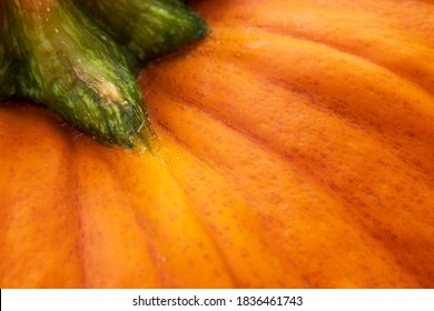 Macro image of pumpkin with green stem  - Powered by Shutterstock