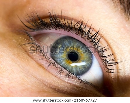 My look Eyelash Pupil