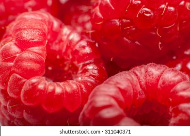 Macro Image Of Rasberries