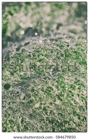 Similar – Image, Stock Photo beaded Drops of water