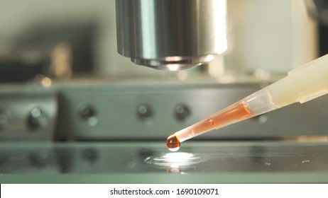 Macro Labratory Scientist Placing A Blood Sample On A Microscope Slide To Check For Covid19