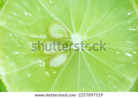 macro lemon background,,Macro Lime,Lemon and green lime overlapped slices close-up background,Macro lemon texture,Macrophotography,
Green Color,Lime,Eating,Lemon - Fruit,Circle,Freshness,
