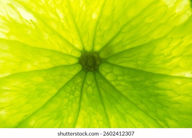 Macro lemon texture,Lemon slice macro texture. Lemon citrus fruit background.