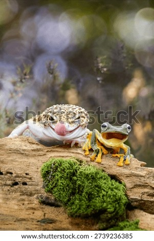 Macro of a leopard gecko and green tree frog on a mossy log, sharp detail, natural bokeh background, vibrant wildlife duo portrait.