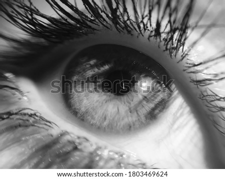 Similar – Image, Stock Photo eye-catcher Eyelash Soft