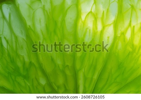 Macro lime,Close-up macro of lemon texture,macro lemon texture,Macro close up surface texture Juicy slice of lime