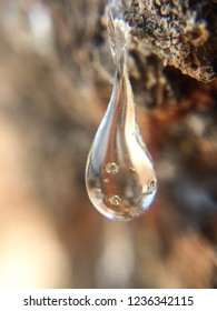 Macro Mastic Drop