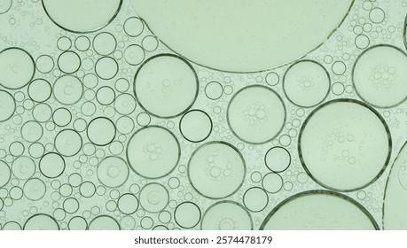 Macro microscope green bubble texture, Close-up Green bubbles and drops oil background . blue green water bubbles, close up golden oil drop for cosmetic	