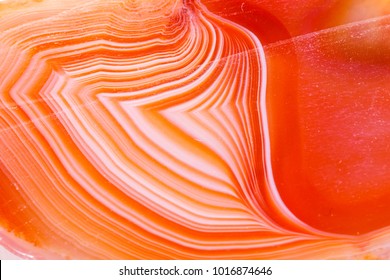 Macro Mineral Orange Agate In Crystals On White Background Close Up