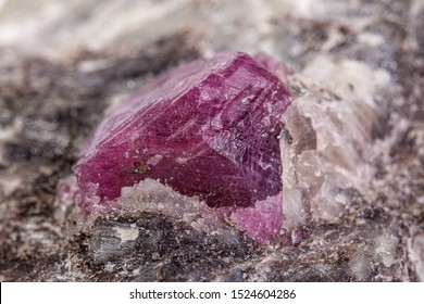 macro mineral stone ruby on a white background close-up