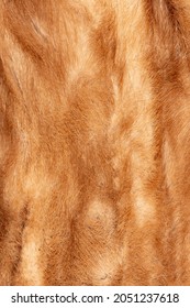 Macro Mink Stole Background Texture