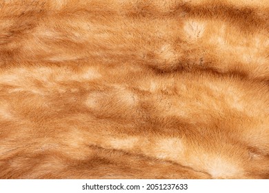 Macro Mink Stole Background Texture