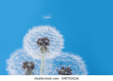 夏 物思い 青空 の画像 写真素材 ベクター画像 Shutterstock