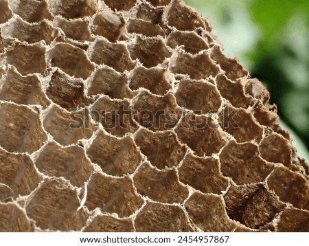 
Macro of an old, empty hornet's nest with open hexagonal cells in the sunlight with blurred brown and green background