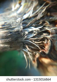Macro old object. 