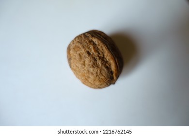 Macro Of One Brown Rounded Wrinkly Fruit Of Persian Walnut