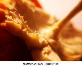 macro orange peel