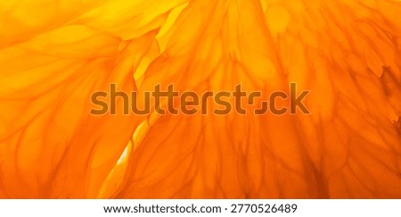Macro of Orange Pulp and Juice Vesicles Texture,Backlit Macro Photography of a Translucent Citrus Slice with Vibrant Texture and Pulp Detail,Extreme close-up macro shot of fresh orange fruit pulp showing detailed texture of juice vesicles and citrus fibers with vibrant orange color and backlighting.