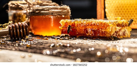 Macro photo of a bee hive on a honeycomb. Bees produce fresh, healthy, honey. Honey background. Beekeeping concept. Long banner format.