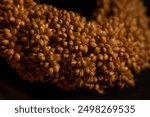 macro photo bird food bundle of millet grain ears with their small kernels