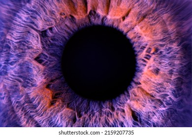 Macro photo of colored purple human eye texture background. extreme blue eye macro shot. Toned eye lens