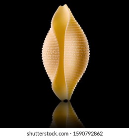 Macro photo of conchiglie pasta shell isolated on black background. - Powered by Shutterstock