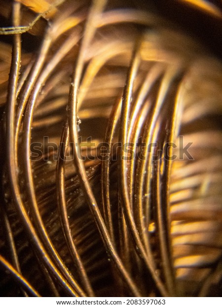 macro photo of copper\
wires