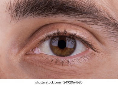 Macro photo of dark brown male eye looking straight into the camera. Close up young man's eye. - Powered by Shutterstock