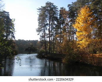 macro photo with a decorative natural background of an autumn day landscape in a European park with a lake and yellow tree branches on the shore for design as a source for prints, wallpapers, posters