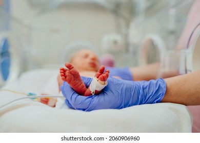 Macro photo of doctor's hands and legs of a child. Newborn is placed in the incubator. Neonatal intensive care unit - Shutterstock ID 2060906960