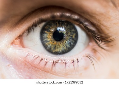 macro photo of an eye